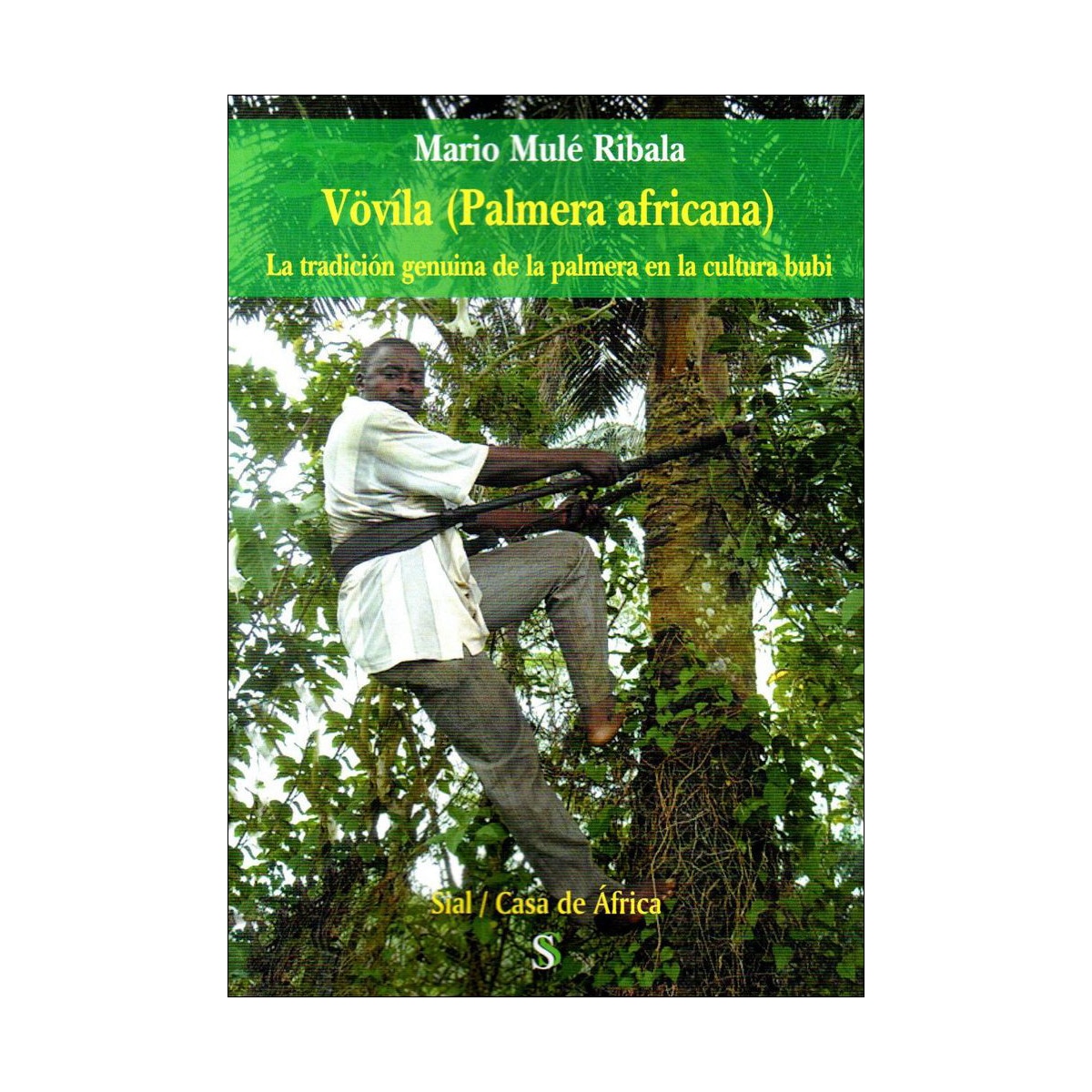 Vovila palmera africana 1