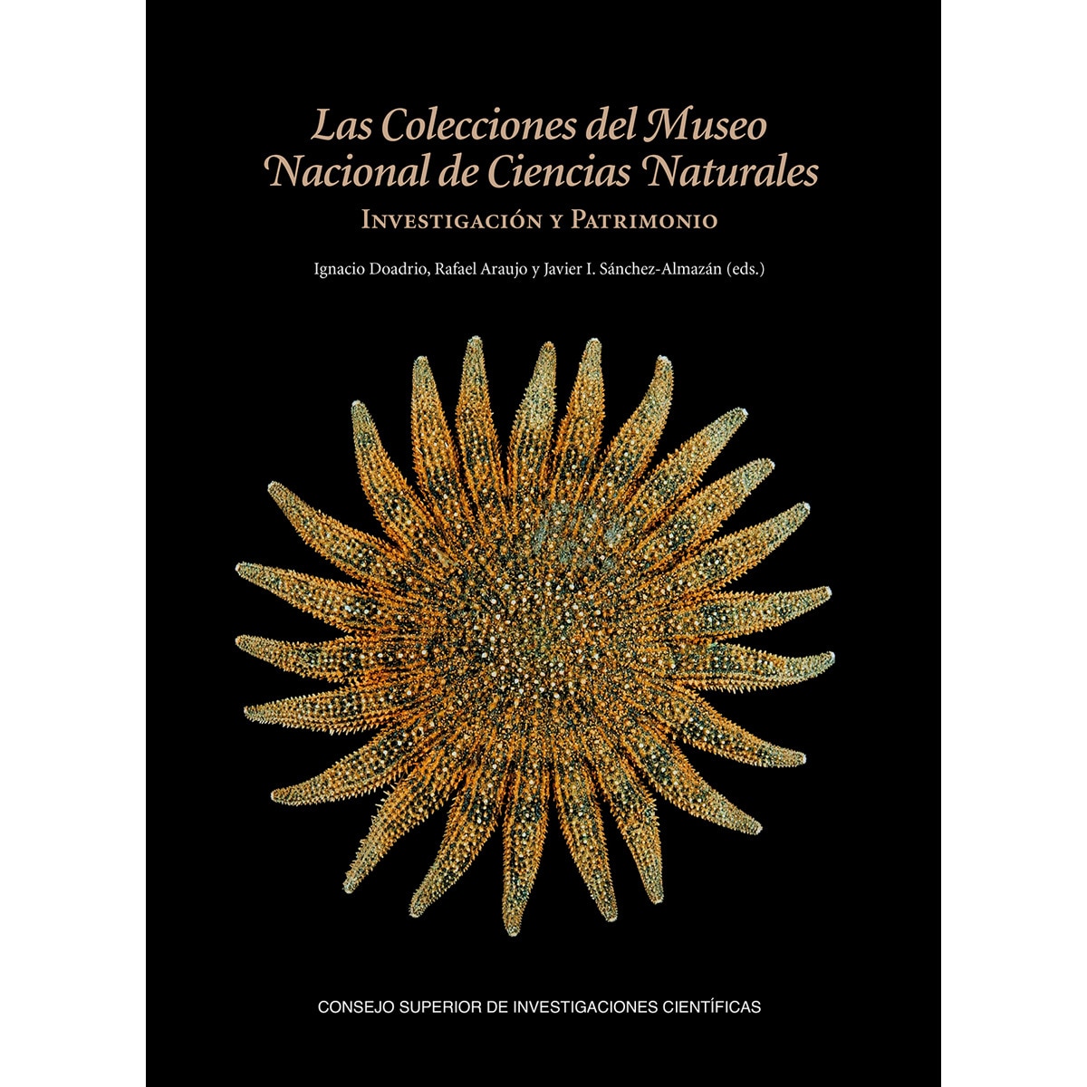 Imagem 0 de Las colecciones del Museo Nacional de Ciencias Naturales : investigación y patrimonio (Capa mole com abas)