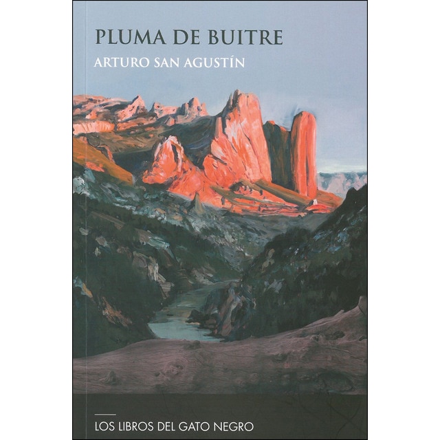 Imagem 0 de PLUMA DE BUITRE (Capa mole)