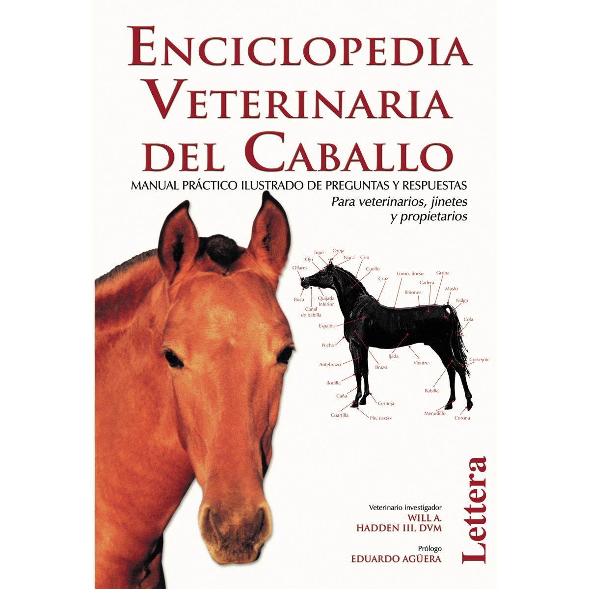 Imagem 0 de Enciclopedia Veterinaria Del Caballo