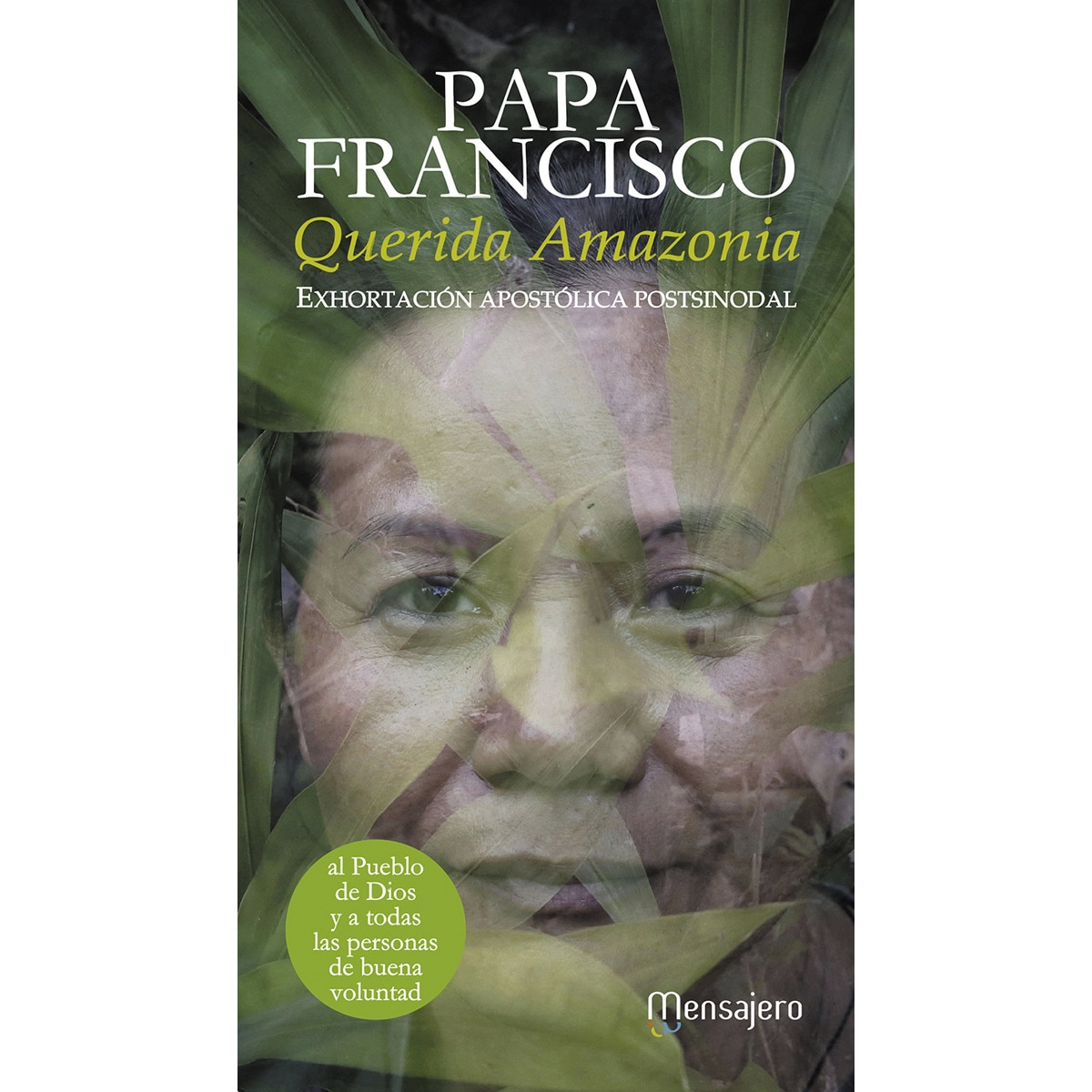Imagen 0 de Querida amazonia: Exhortación apostólica postsinodal