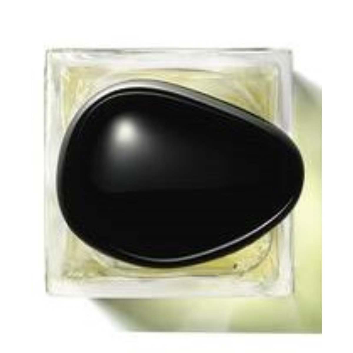 Thé Yulong Eau de Toilette Armani Privé 100ml Giorgio Armani 3
