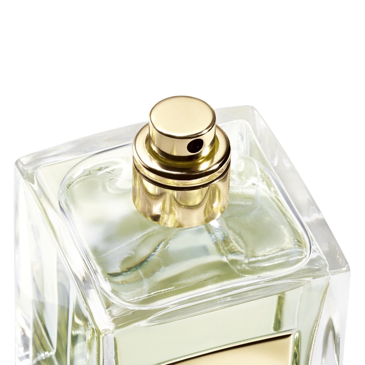Thé Yulong Eau de Toilette Armani Privé 100ml Giorgio Armani 4