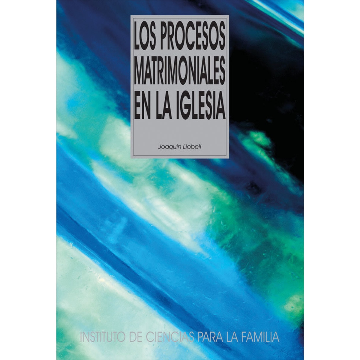 Los procesos matrimoniales en la Iglesia (Capa mole) 1