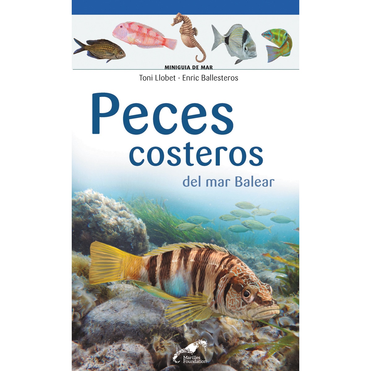 Peces costeros del mar balear(Tapa blanda) 1