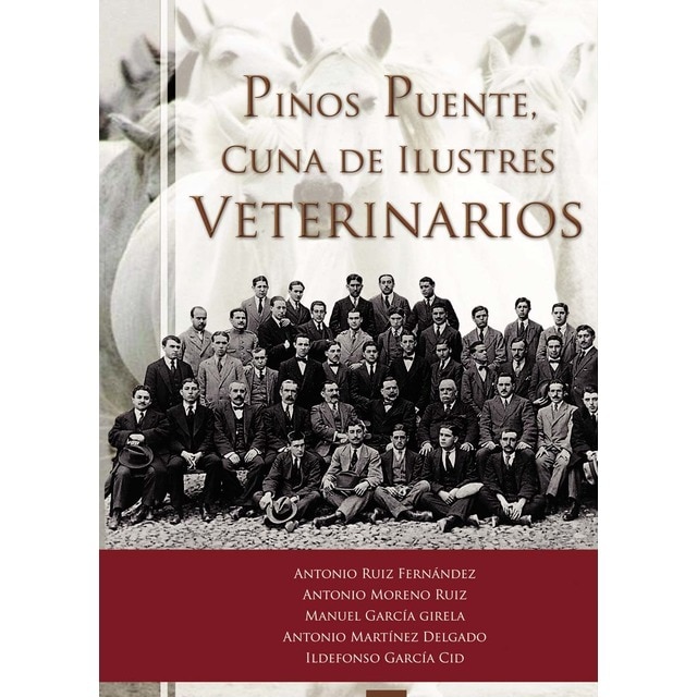 Imagem 0 de Pinos Puente Cuna De Veterinarios