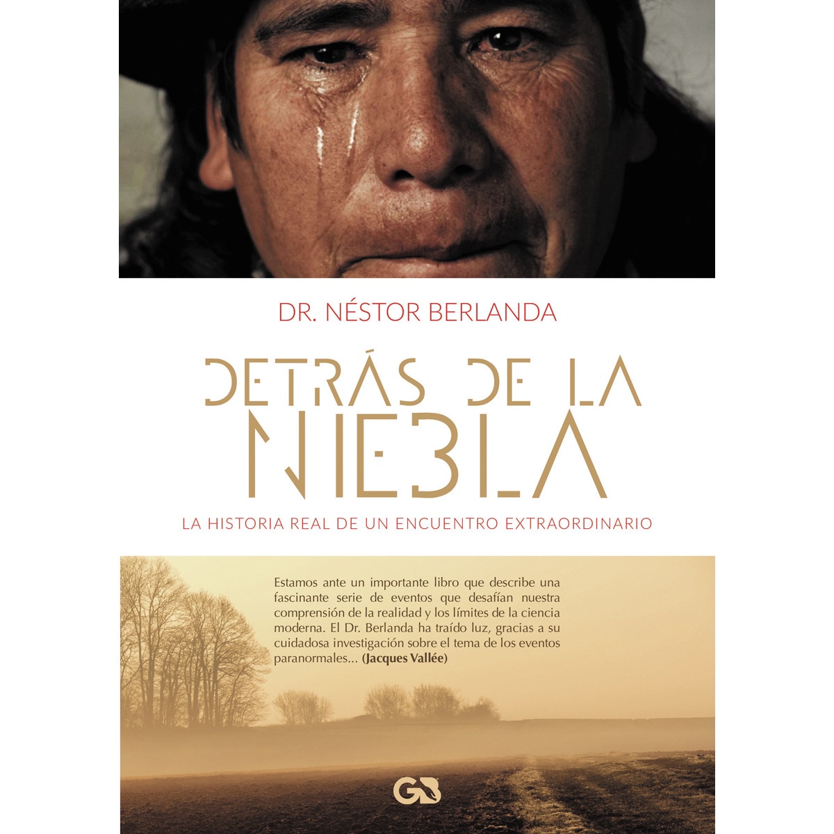Detrás De La Niebla 1