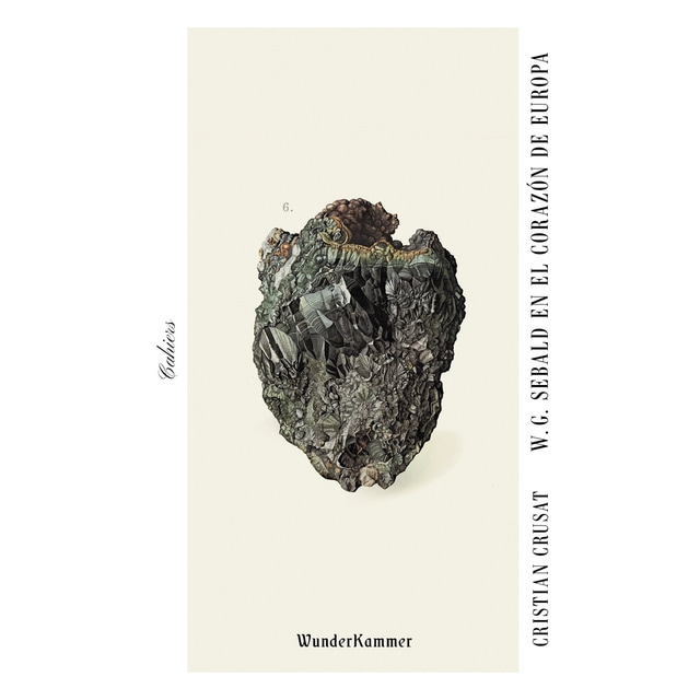 Imagem 0 de Sistema Educativo Y Dirigismo