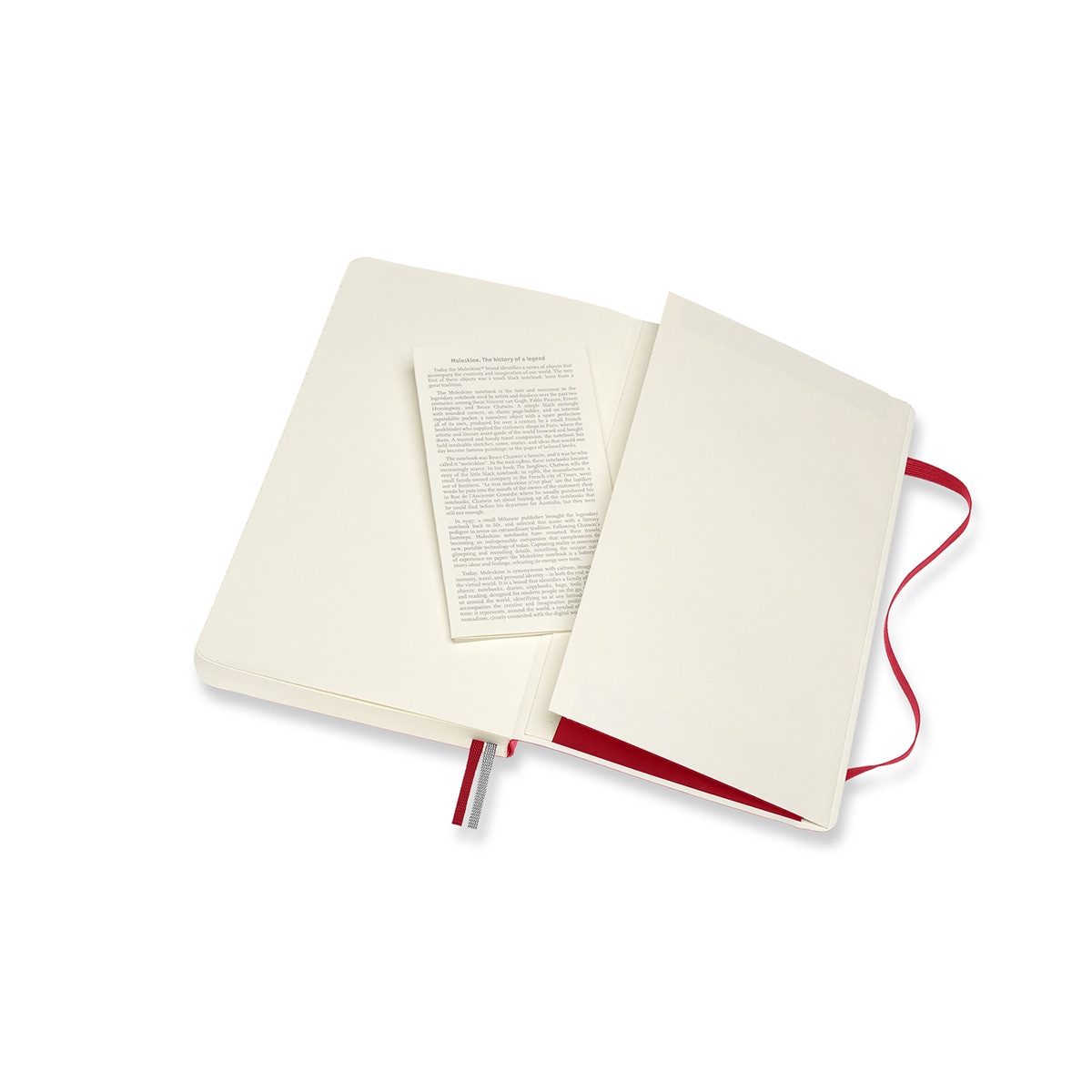 Caderno Classic Large Expanded Capa Mole de Folhas de Linhas - Vermelho Vermelho-5