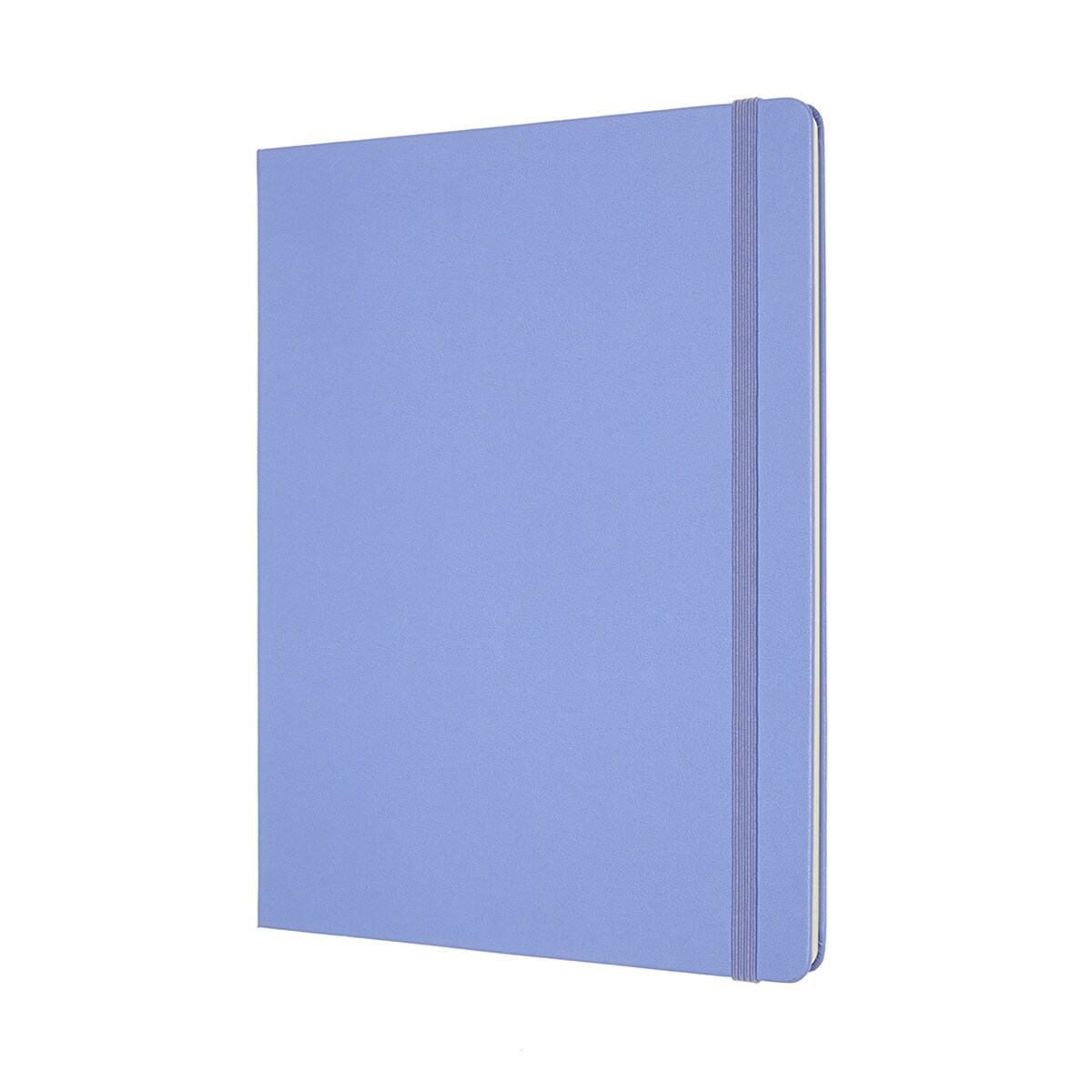 Caderno Classic Extralarge Capa Dura Folhas Lisas - Azul Hortênsia Azul-2