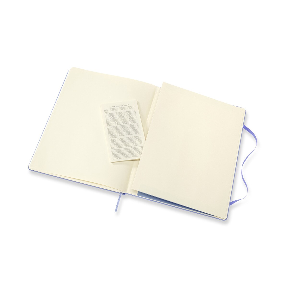 Caderno Classic Extralarge Capa Dura Folhas Lisas - Azul Hortênsia Azul-5