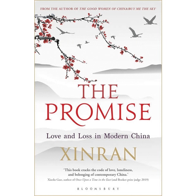 The promise 1