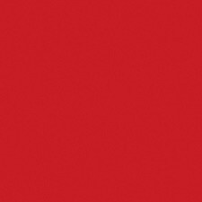 381 Cheering Orange
