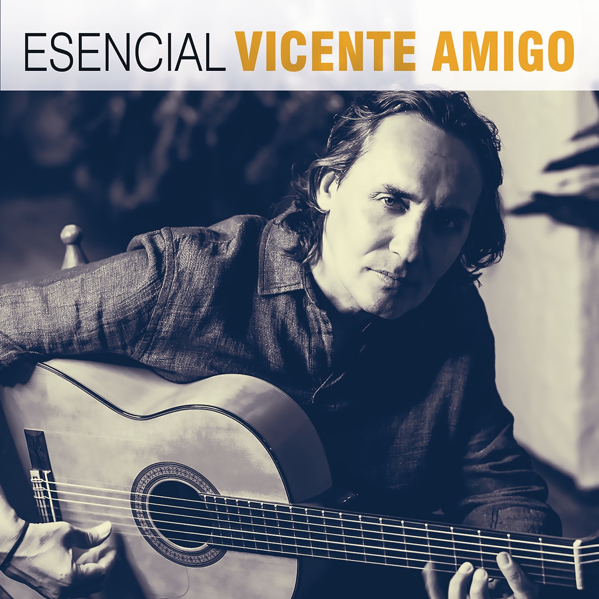 Imagen 0 de Esencial Vicente Amigo (2 CD)