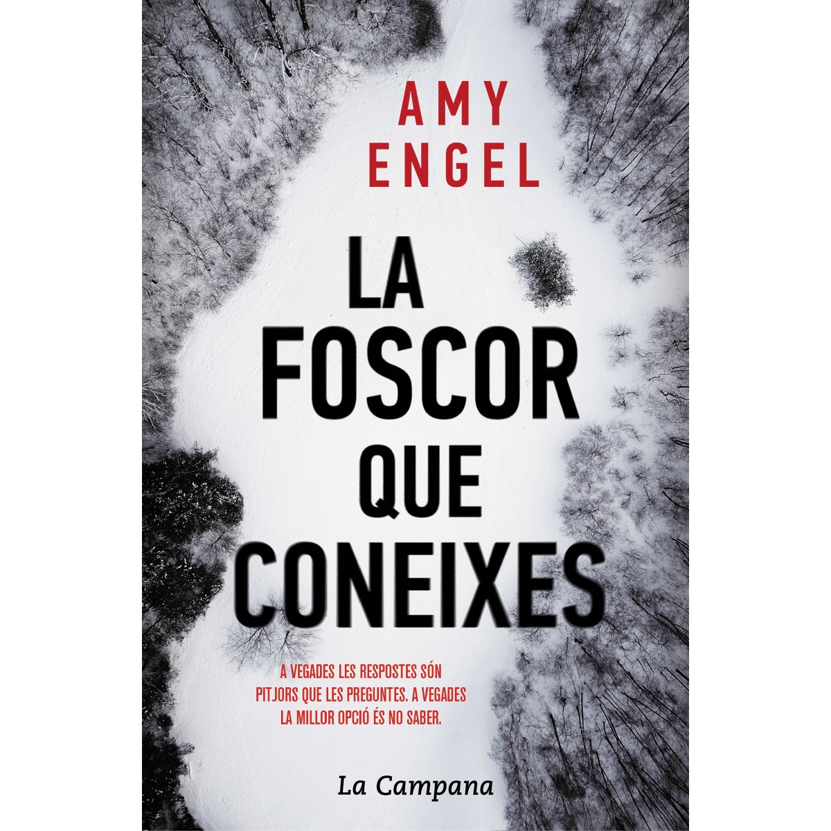 Imagen 0 de La foscor que coneixes (Tapa blanda)
