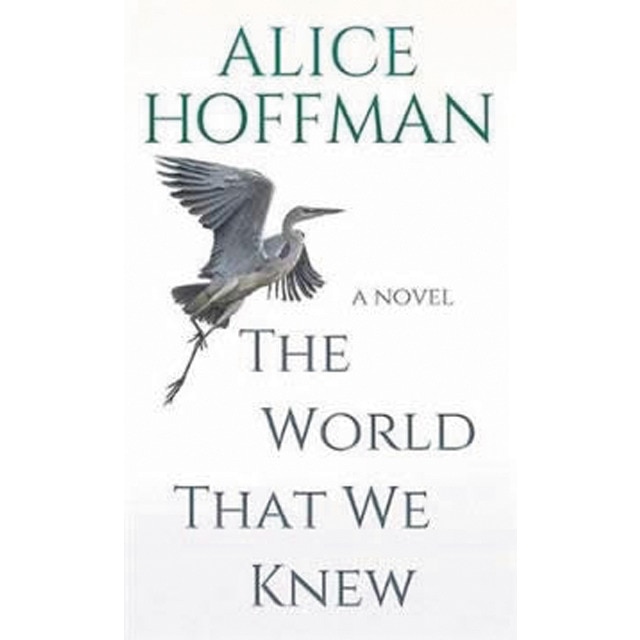 Imagem 0 de The world that we knew