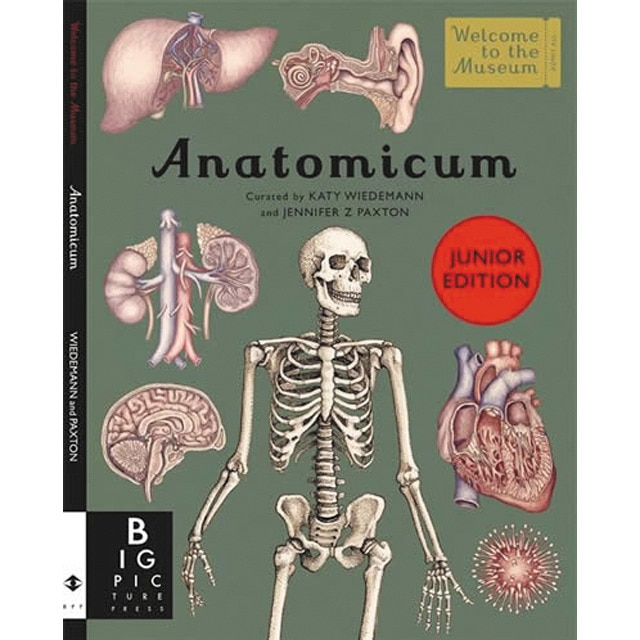 Anatomicum junior 1