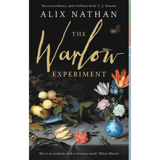 The warlow experiment 1