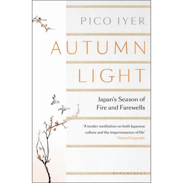 Autumn light 1