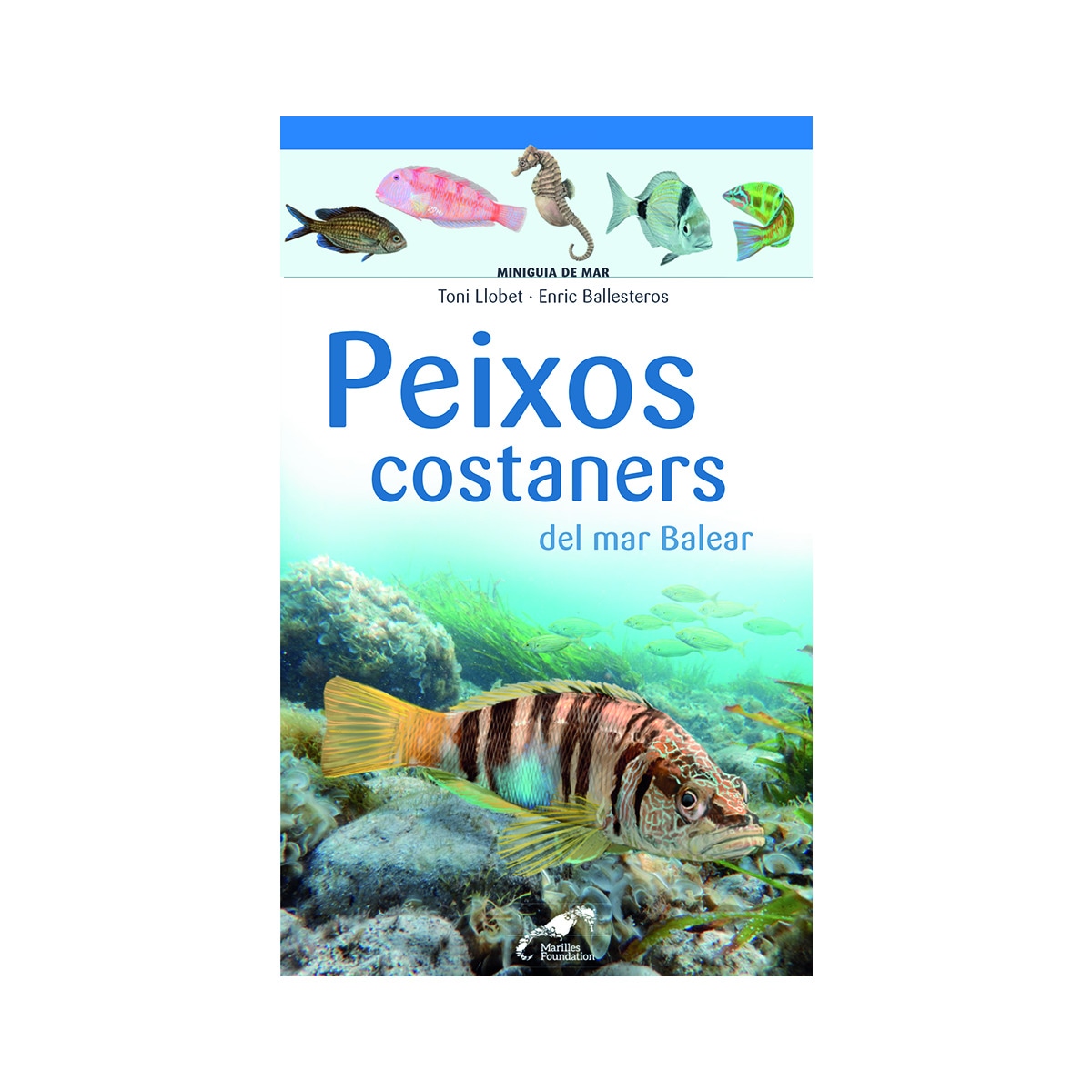 Peixos costaners del mar Balear (Capa mole) 1