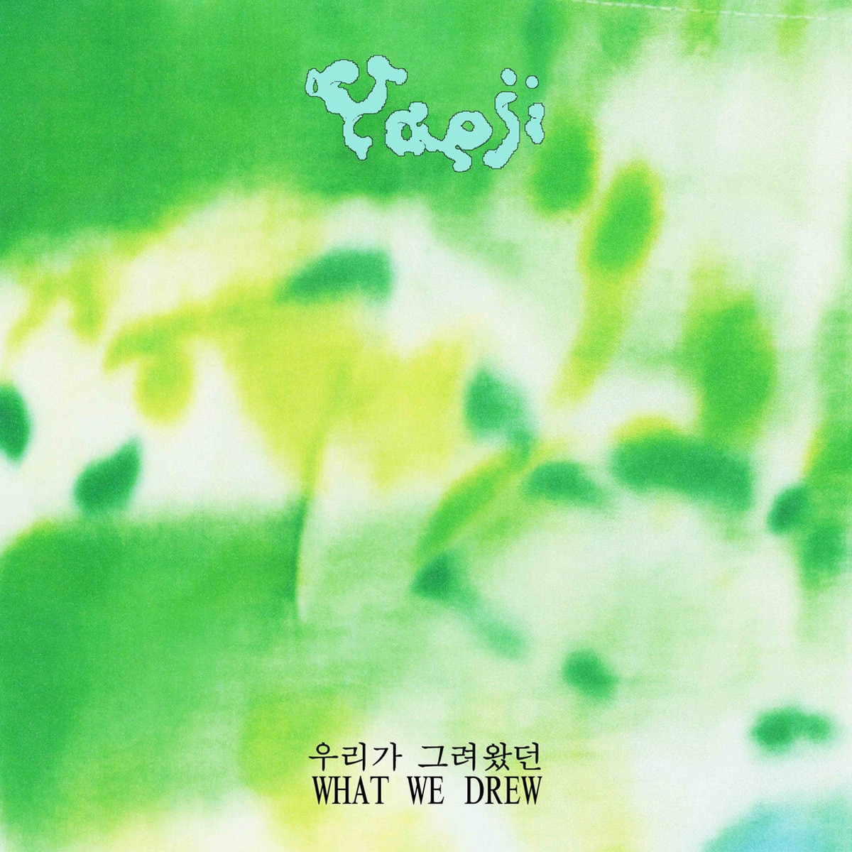Imagem 0 de What we drew (LP-Vinil)
