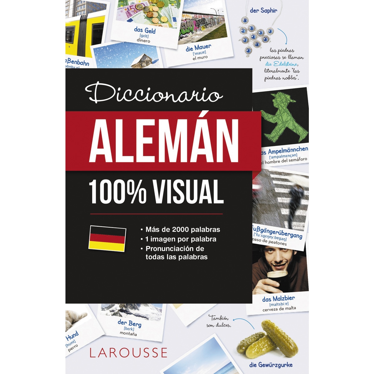 Diccionario de alemán 100% Visual (Capa mole com abas) 1