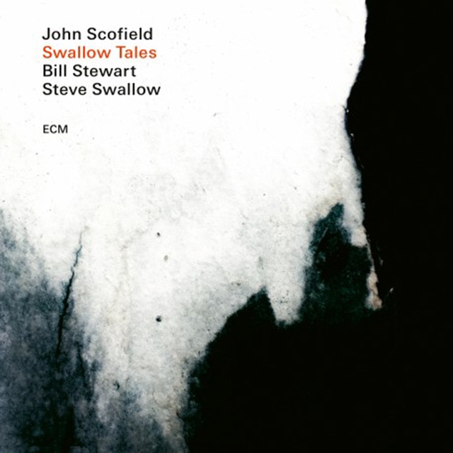 Imagen 0 de Swallow Tales (LP-Vinilo)