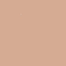 2C2 Pale Almond
