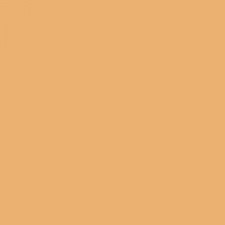2W1 Dawn