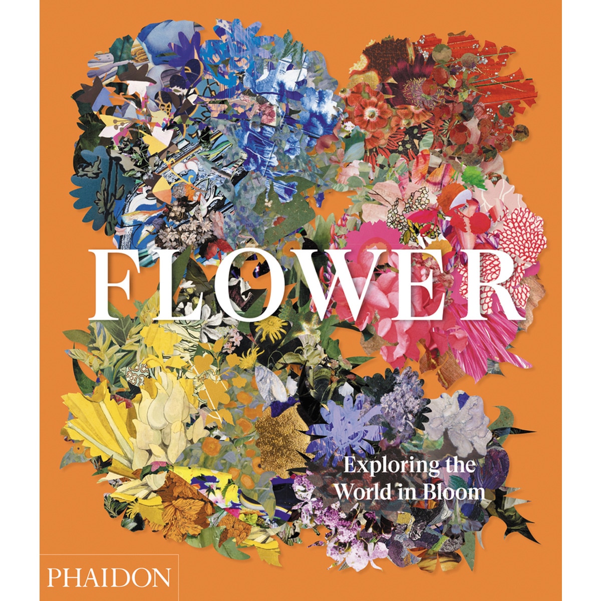 Flower. Exploring the world in bloom 1