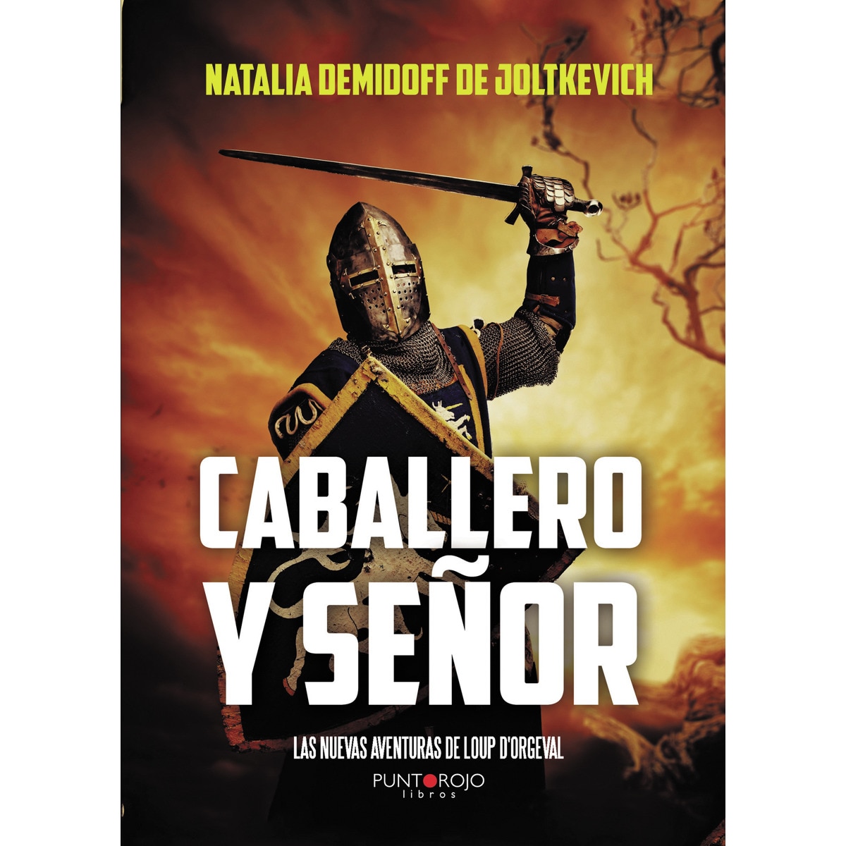 Caballero y señor(Tapa blanda) 1