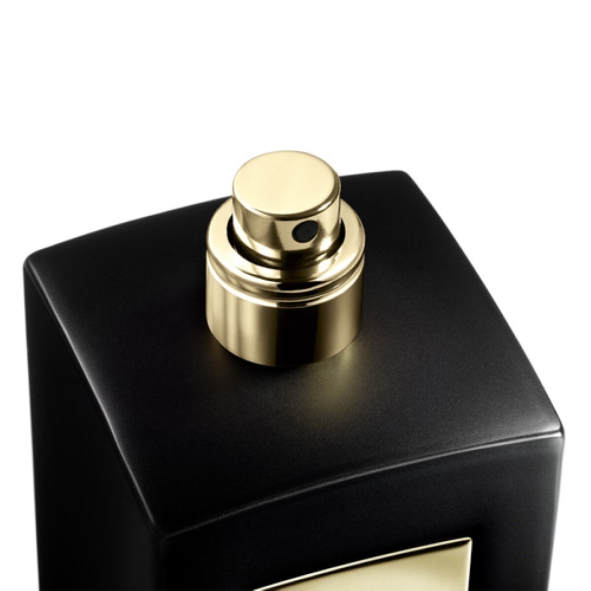 Cuir Zerzura Armani Privé Eau de Parfum Intense 100ml Giorgio Armani 5