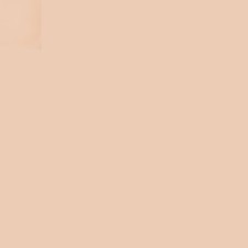 2N1 Desert Beige