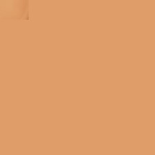 4W1 Honey Bronze