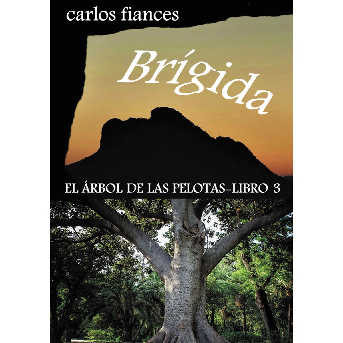 Brígida(Tapa blanda) 1