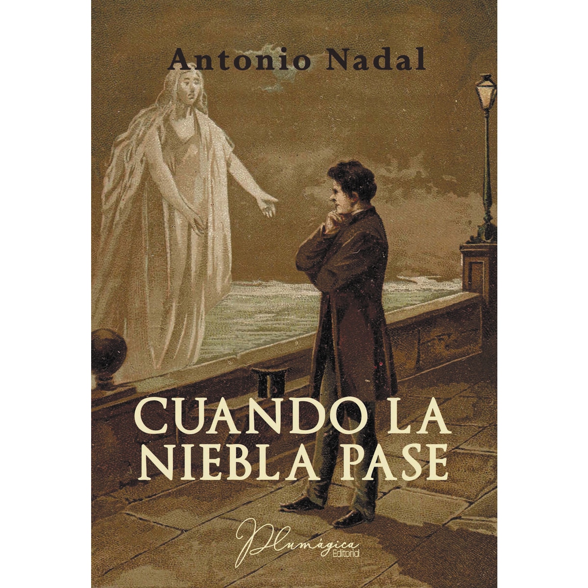 Imagen 0 de Cuando la niebla pase (Tapa blanda)