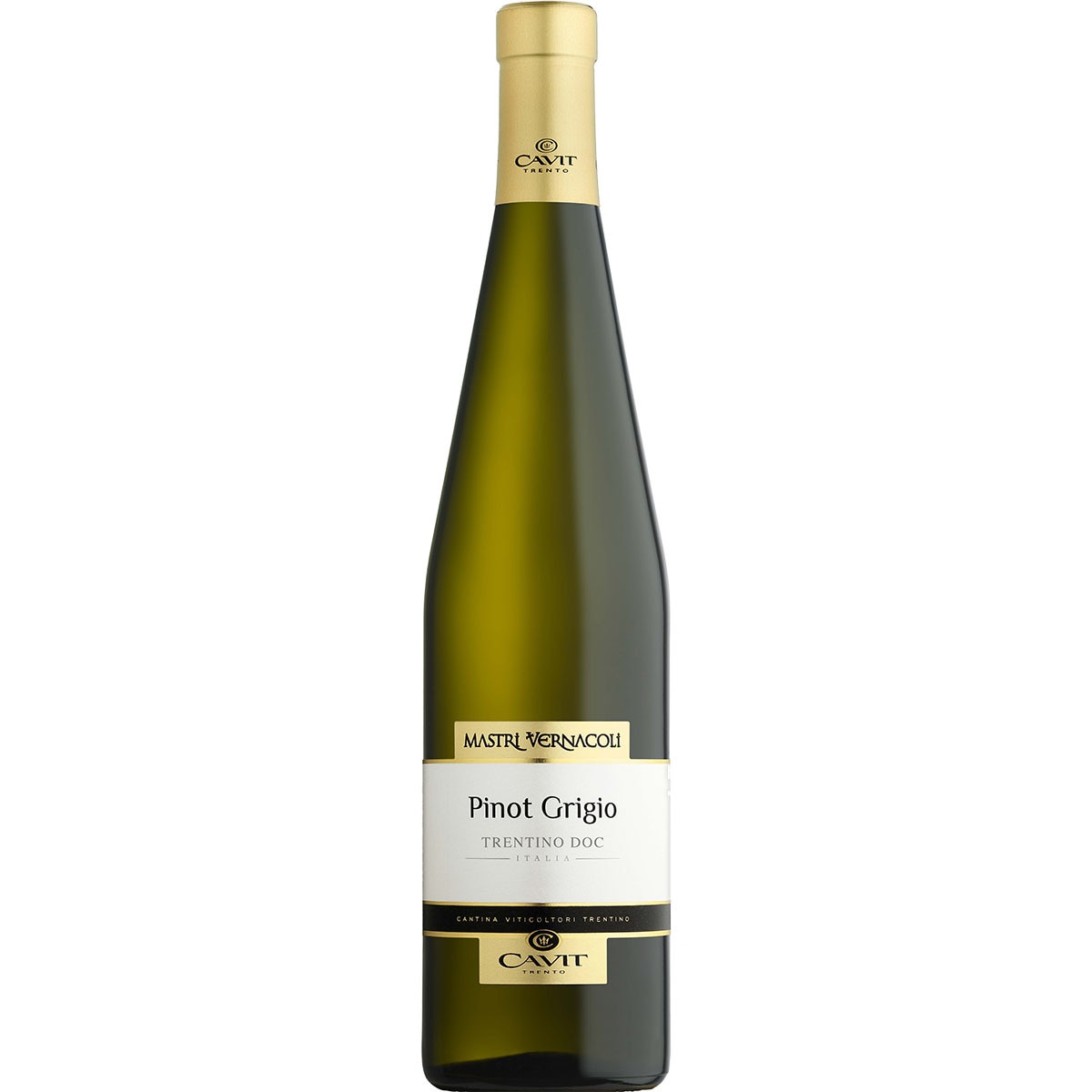 vino blanco pinot grigio Mastri Vernacoli Italia botella 75 cl