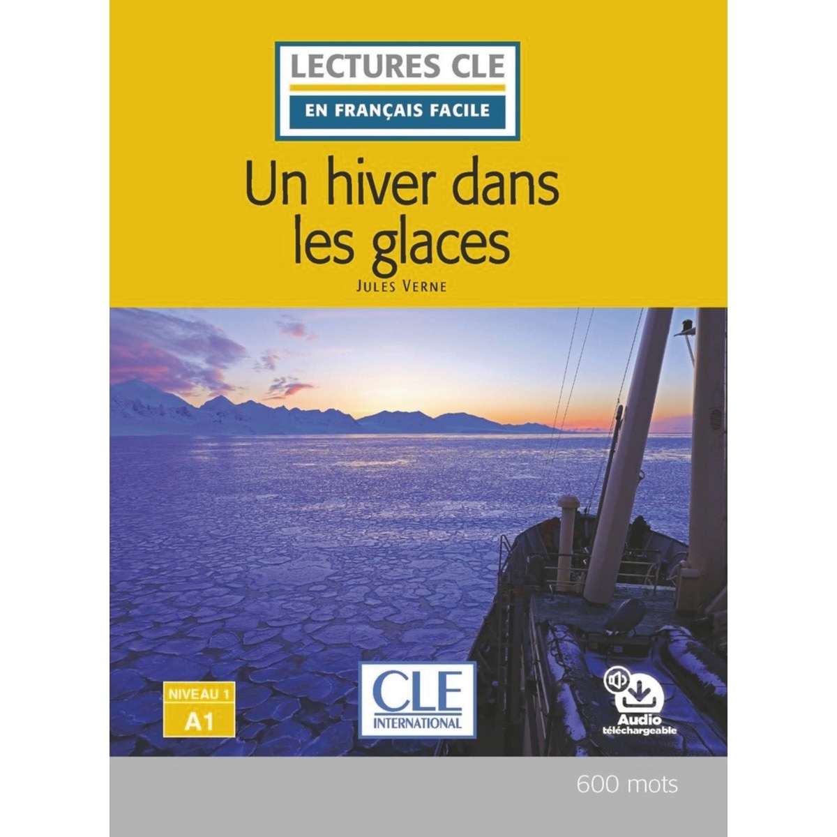 Un hiver dans les glaces - niveau 1/a1 - livre + a 1