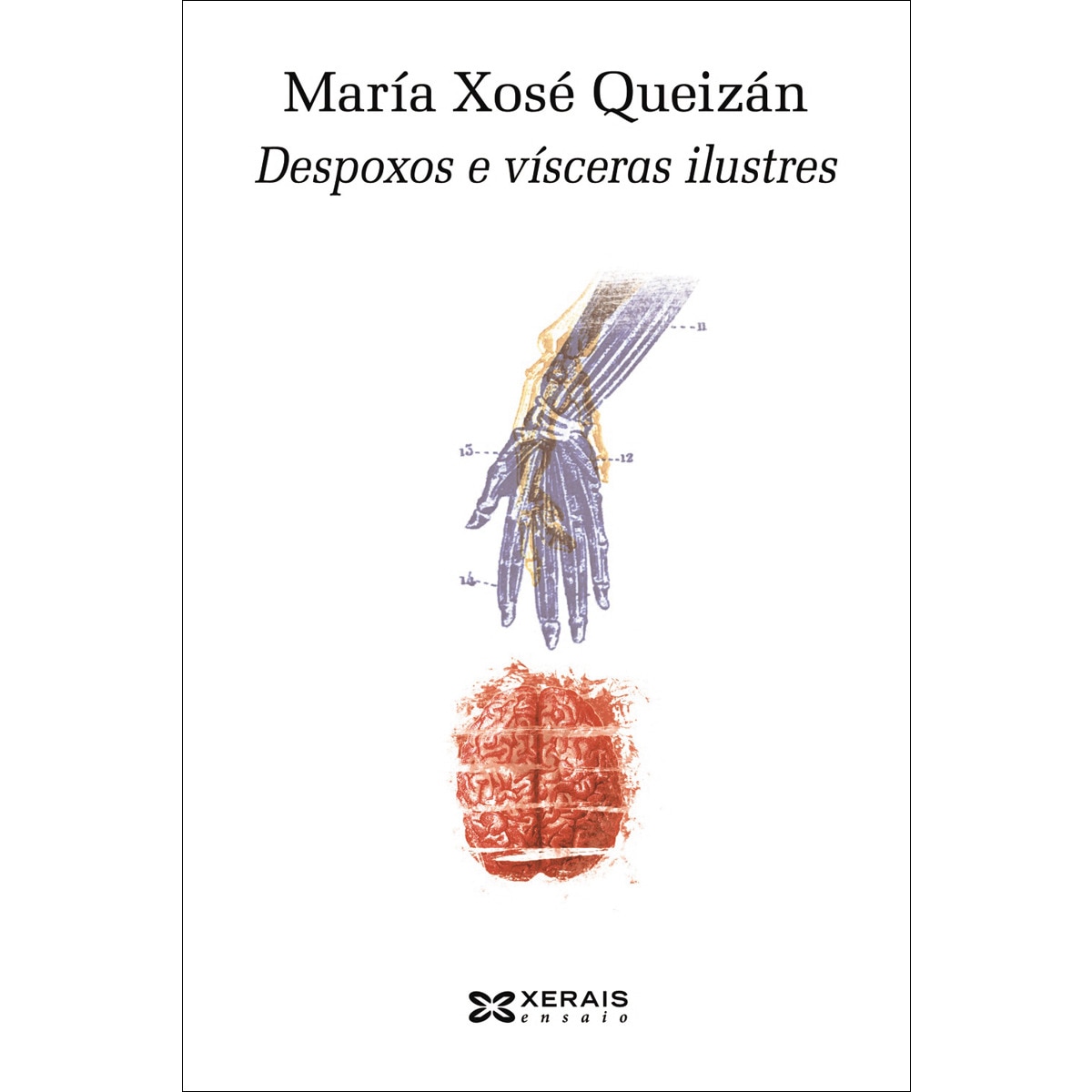 Imagem 0 de Despoxos e vísceras ilustres (Capa mole com abas)