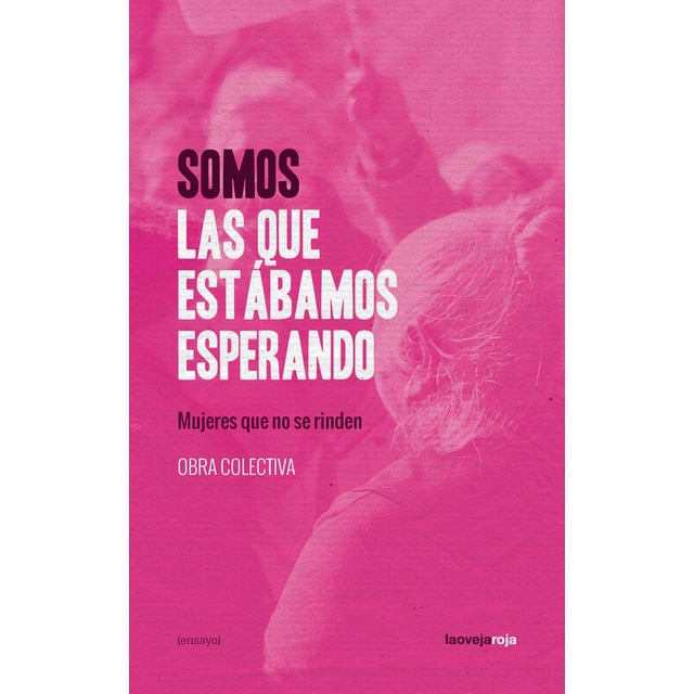 Somos las que estábamos esperando 1