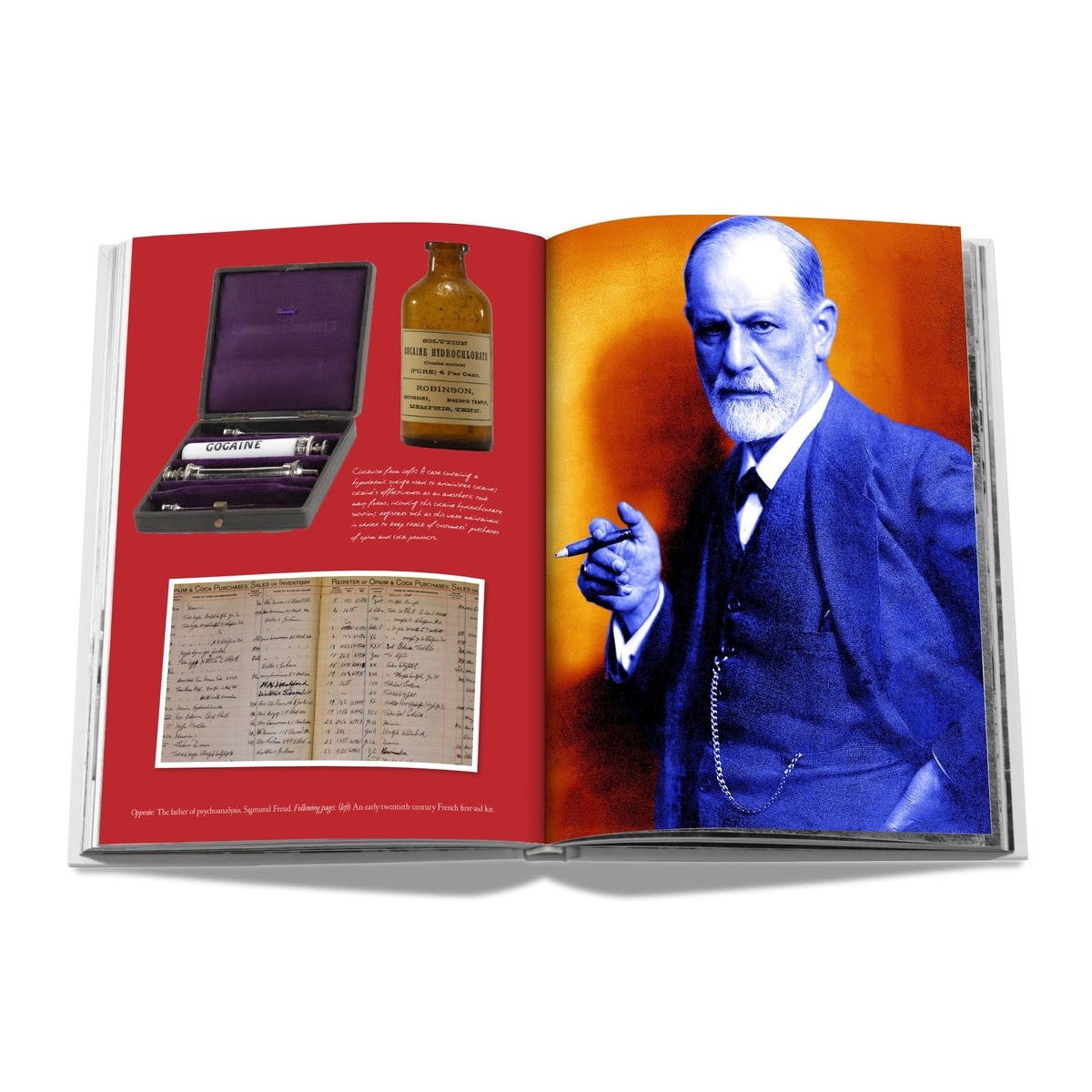 Cocaine: History & Culture 7