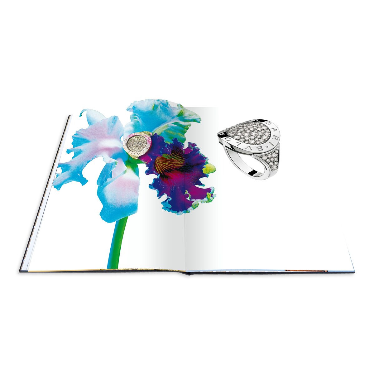 Bulgari: bulgari-bulgari collection 11