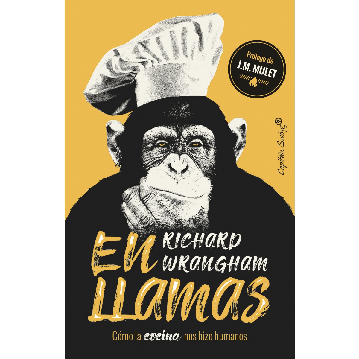 En llamas(Tapa blanda) 1