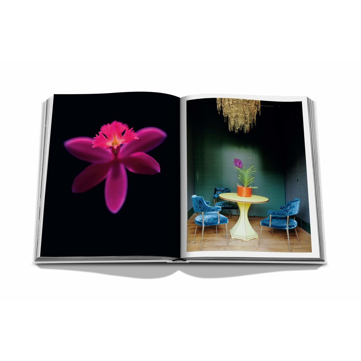 Flowers : Art & Bouquets 6