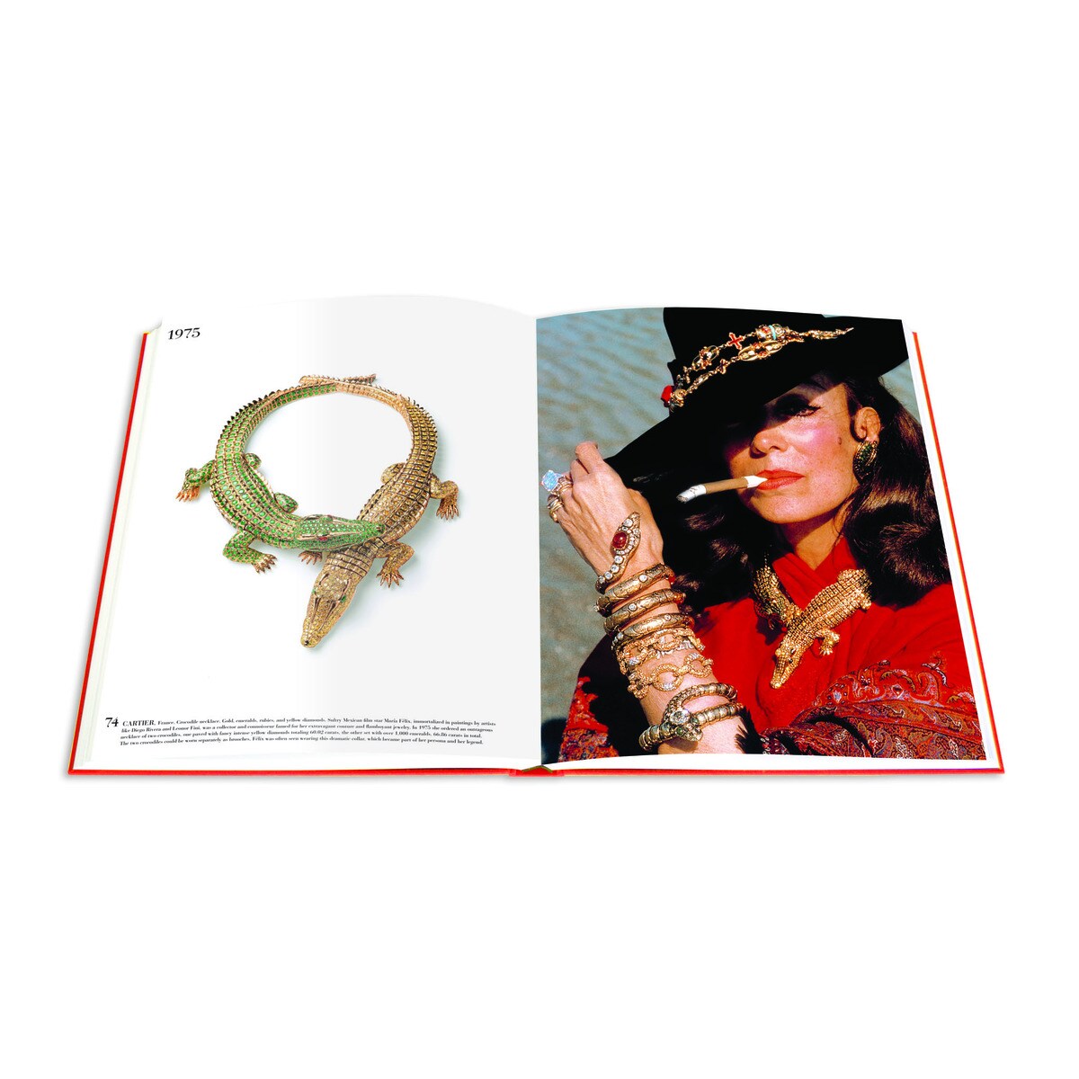 Impossible Collection Of Jewelry. The 6