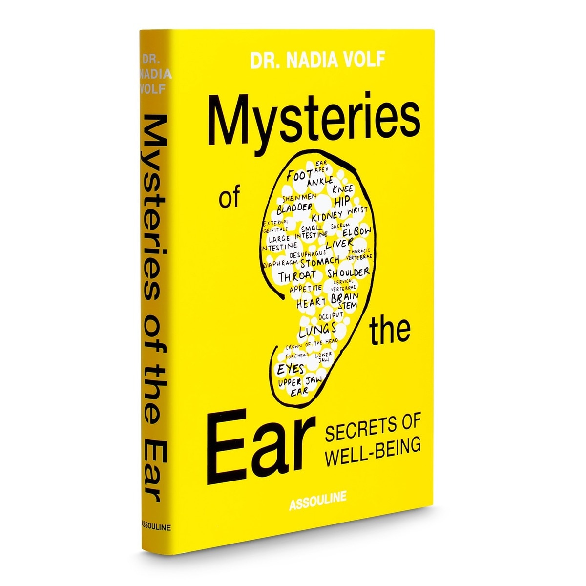 Mysteries Of The Ear 1
