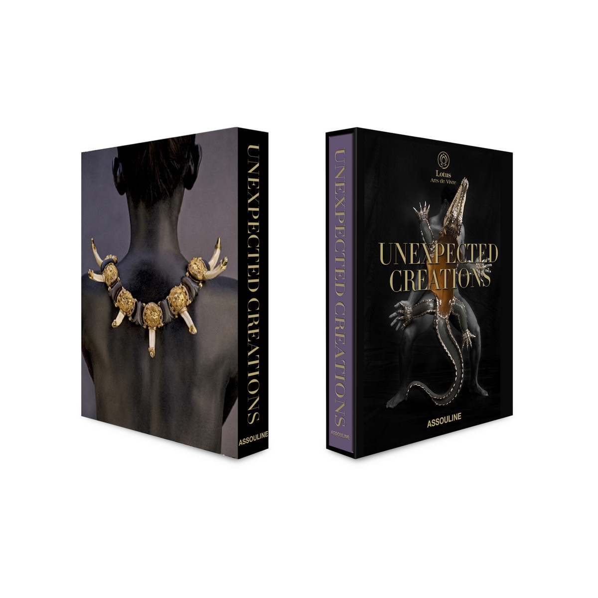 Unexpected Creations 3
