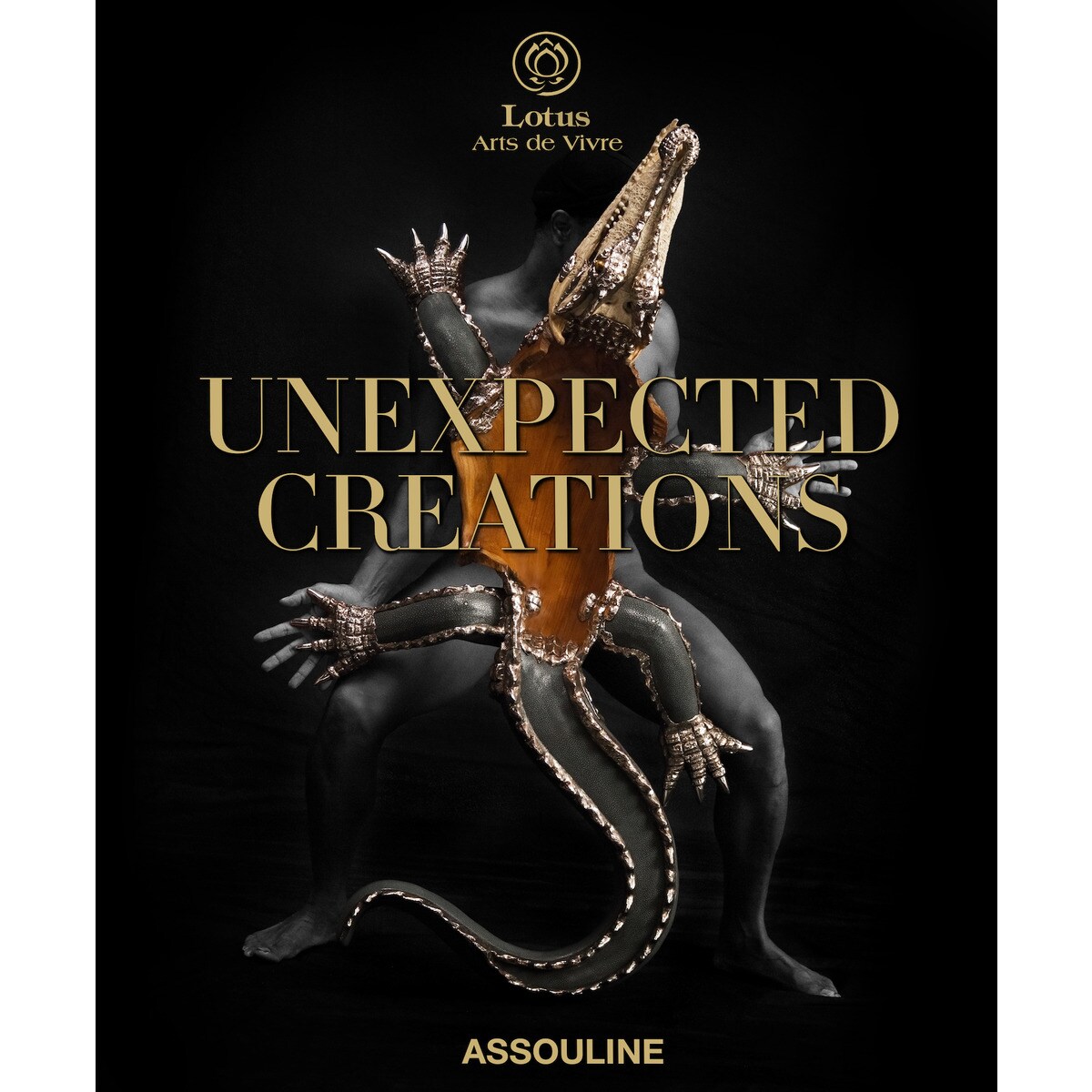 Unexpected Creations 4