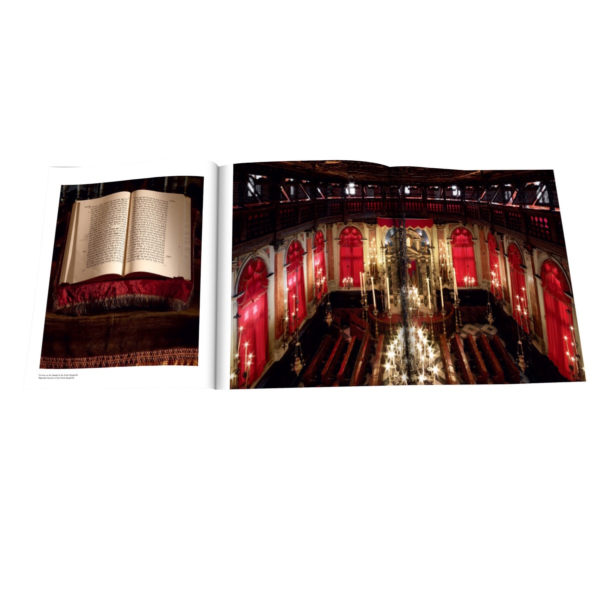 Venice Synagogues 3