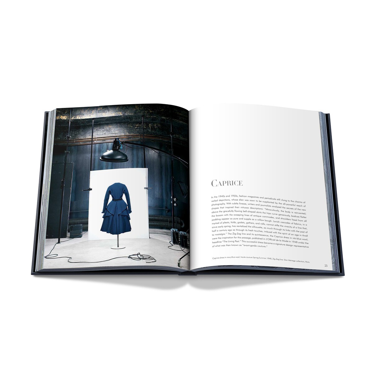 Dior Christian Dior (Capa dura) 7